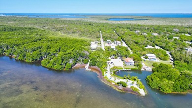 Huge Direct Oceanfront Compound -- One-of-a-Kind with 276-Foot - photo 46