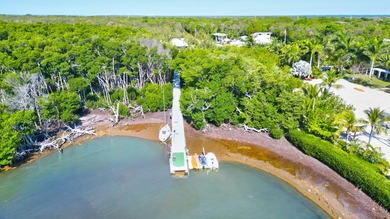 Huge Direct Oceanfront Compound -- One-of-a-Kind with 276-Foot - photo 49