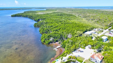 Huge Direct Oceanfront Compound -- One-of-a-Kind with 276-Foot - photo 50