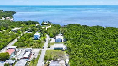 Huge Direct Oceanfront Compound -- One-of-a-Kind with 276-Foot - photo 58