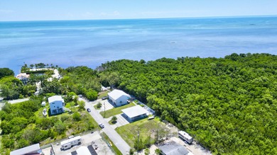Huge Direct Oceanfront Compound -- One-of-a-Kind with 276-Foot - photo 60