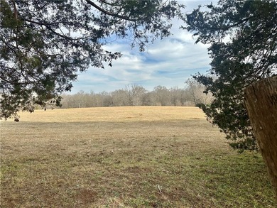 E I G H T A C R E S - mostly cleared with approximately 310ft of - photo 2