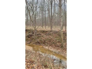 E I G H T A C R E S - mostly cleared with approximately 310ft of - photo 3