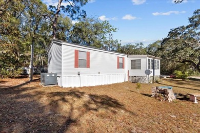 Suwannee River Home For Sale in Old Town Florida