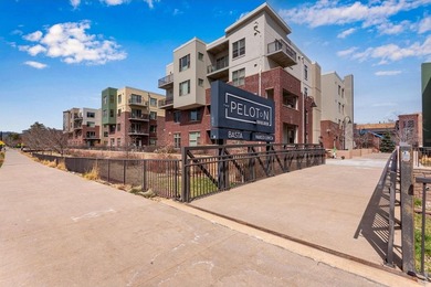 Welcome to a special Peloton West luxury condo - arguably the - photo 23