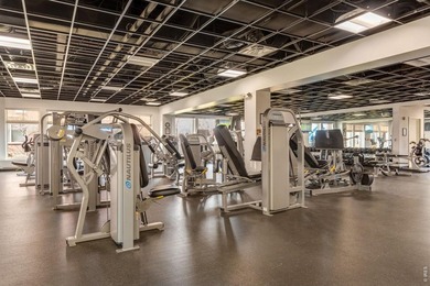 Welcome to a special Peloton West luxury condo - arguably the - photo 31
