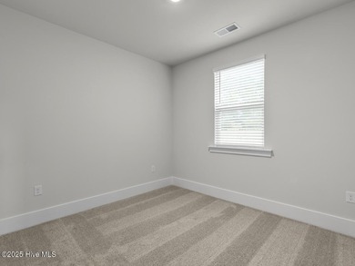 Welcome to Hubert's newest neighborhood, Surfside Landing! - photo 34