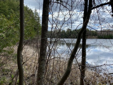 Mercer Lake- Oneida County Acreage For Sale in M ER CE R Wisconsin