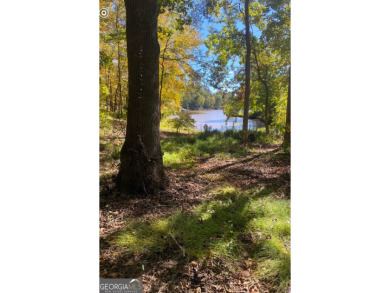 Lake Lot For Sale in Eatonton, Georgia