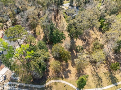 Discover the perfect setting for your Lowcountry dream home in - photo 14