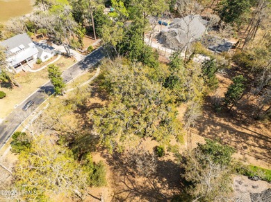 Discover the perfect setting for your Lowcountry dream home in - photo 16