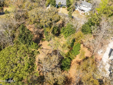 Discover the perfect setting for your Lowcountry dream home in - photo 18