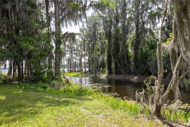 Professional pictures coming very soon! Amazing 103 feet of Lake - photo 21