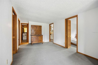 Professional pictures coming very soon! Amazing 103 feet of Lake - photo 43