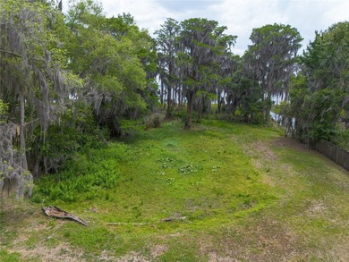 Professional pictures coming very soon! Amazing 103 feet of Lake - photo 48