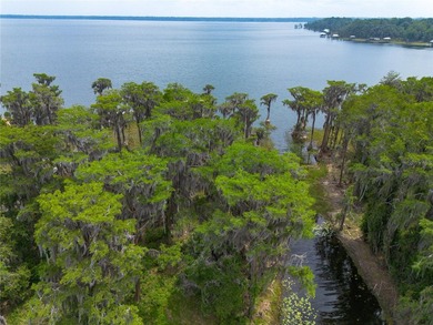 Professional pictures coming very soon! Amazing 103 feet of Lake - photo 50