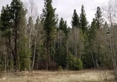 Lake Lot For Sale in Klamath Falls, Oregon