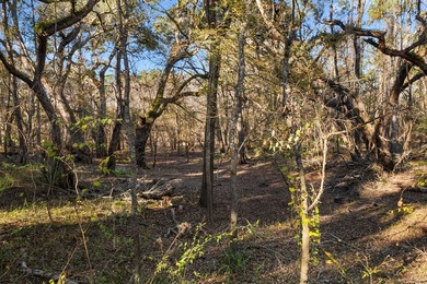 Country living at its best on this stunning 59-acre tract along - photo 6
