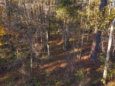 Country living at its best on this stunning 59-acre tract along - photo 8