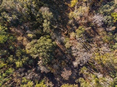 Country living at its best on this stunning 59-acre tract along - photo 10
