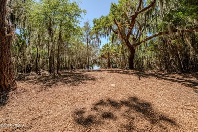 Set along the scenic waters of Capers Creek, 6087 Wallace - photo 4