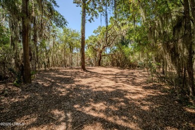 Set along the scenic waters of Capers Creek, 6087 Wallace - photo 8