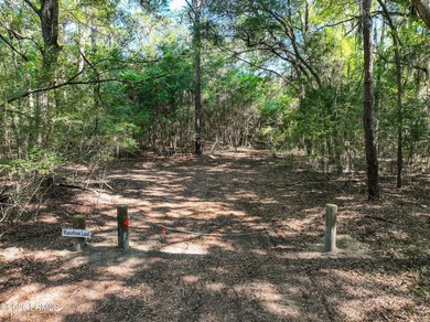 Set along the scenic waters of Capers Creek, 6087 Wallace - photo 10