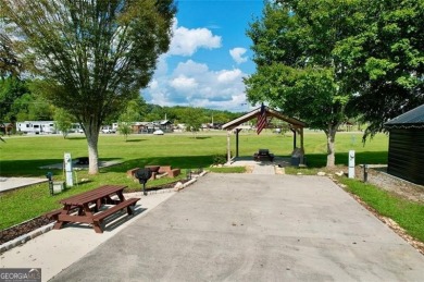 Lake Lot For Sale in Morganton, Georgia