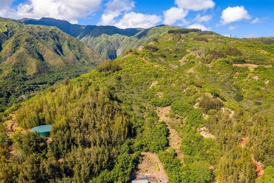 Pristine 370 acres located in Waihe'e Valley on the North Shore - photo 11