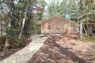 Lake Home Sale Pending in Danbury, Wisconsin