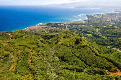 Pristine 370 acres located in Waihe'e Valley on the North Shore - photo 13