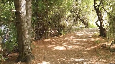Eagle Lake's prestige Waterfront lot located centrally over - photo 16