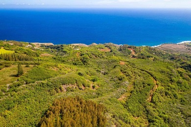 Pristine 370 acres located in Waihe'e Valley on the North Shore - photo 16