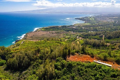 Pristine 370 acres located in Waihe'e Valley on the North Shore - photo 17