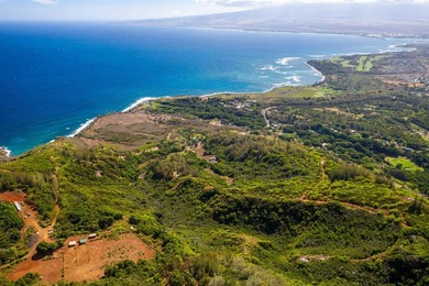 Pristine 370 acres located in Waihe'e Valley on the North Shore - photo 18
