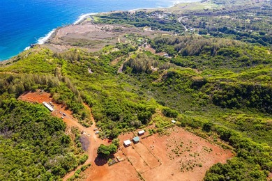 Pristine 370 acres located in Waihe'e Valley on the North Shore - photo 19