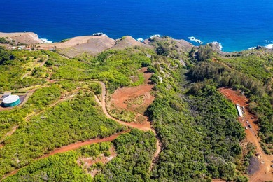 Pristine 370 acres located in Waihe'e Valley on the North Shore - photo 20