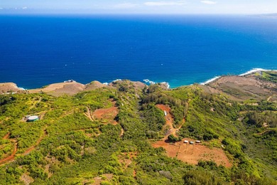 Pristine 370 acres located in Waihe'e Valley on the North Shore - photo 21
