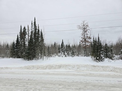 Lake Superior - Baraga County Acreage For Sale in L Anse Michigan