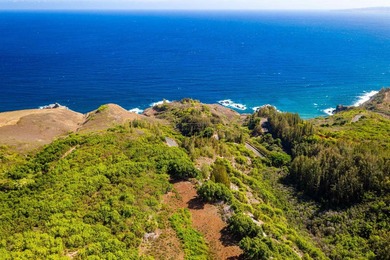Pristine 370 acres located in Waihe'e Valley on the North Shore - photo 22