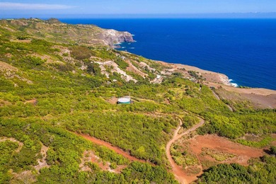 Pristine 370 acres located in Waihe'e Valley on the North Shore - photo 23
