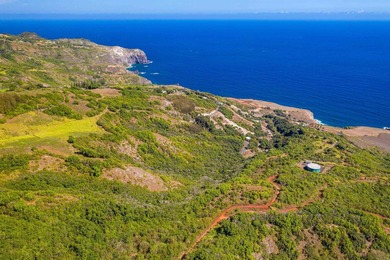 Pristine 370 acres located in Waihe'e Valley on the North Shore - photo 24