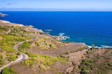 Pristine 370 acres located in Waihe'e Valley on the North Shore - photo 26