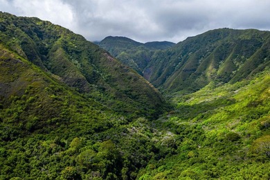 Pristine 370 acres located in Waihe'e Valley on the North Shore - photo 27