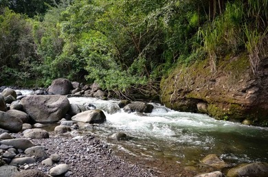 Pristine 370 acres located in Waihe'e Valley on the North Shore - photo 28
