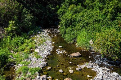 Pristine 370 acres located in Waihe'e Valley on the North Shore - photo 29