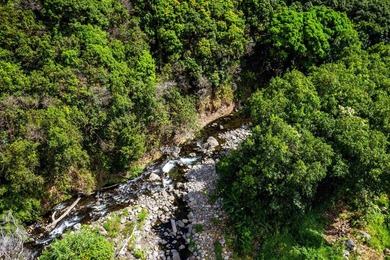 Pristine 370 acres located in Waihe'e Valley on the North Shore - photo 30