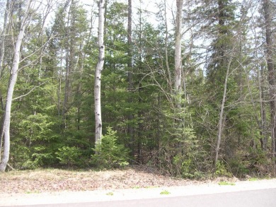 Pine Lake - Forest County Acreage For Sale in  Wisconsin