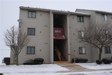 Lake Condo For Sale in Port Clinton, Ohio