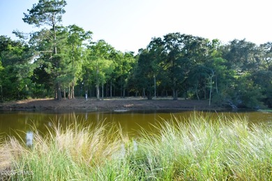 Come build your dream home on this nearly one acre homesite on - photo 6